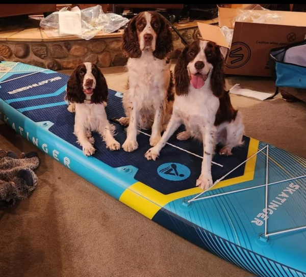 Skatinger Prana Meteor Blue 350x89x15 cm (11'6'') yoga SUP board - Afbeelding 4